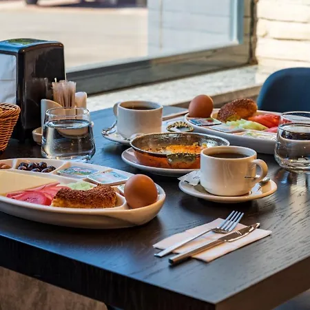 Goeruekle Alpas Yasam Hotel Bursa