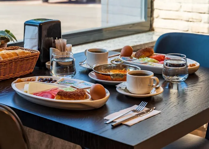 Goeruekle Alpas Yasam Hotel Bursa